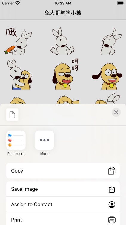 兔大哥与狗小弟