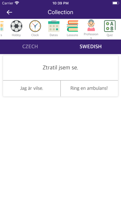 Czech Swedish Dictionary screenshot 3