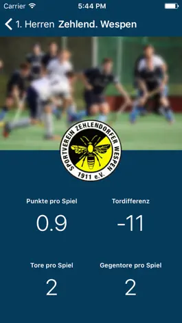 Game screenshot Wespen Hockey hack