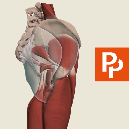 Hip: 3D Real-time