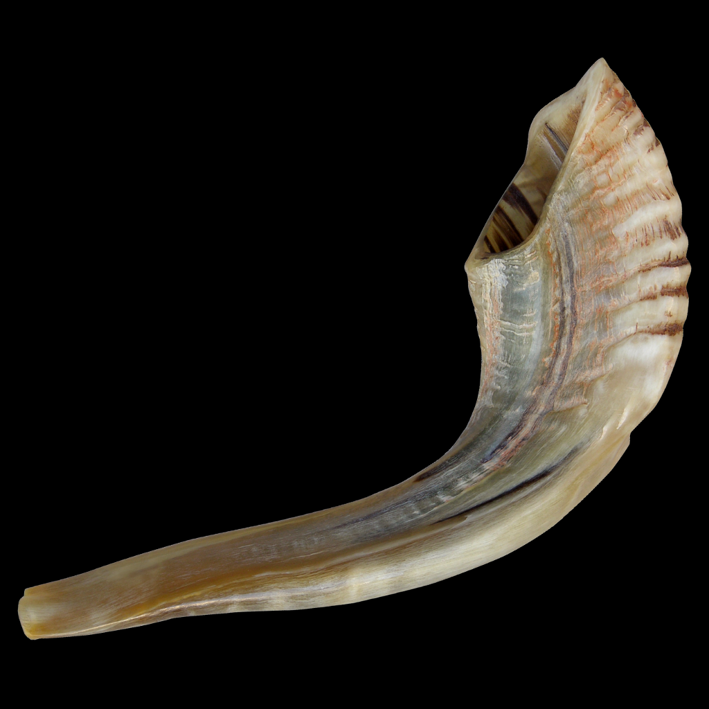 Get iShofar for iOS, iPhone, iPad Aso Report