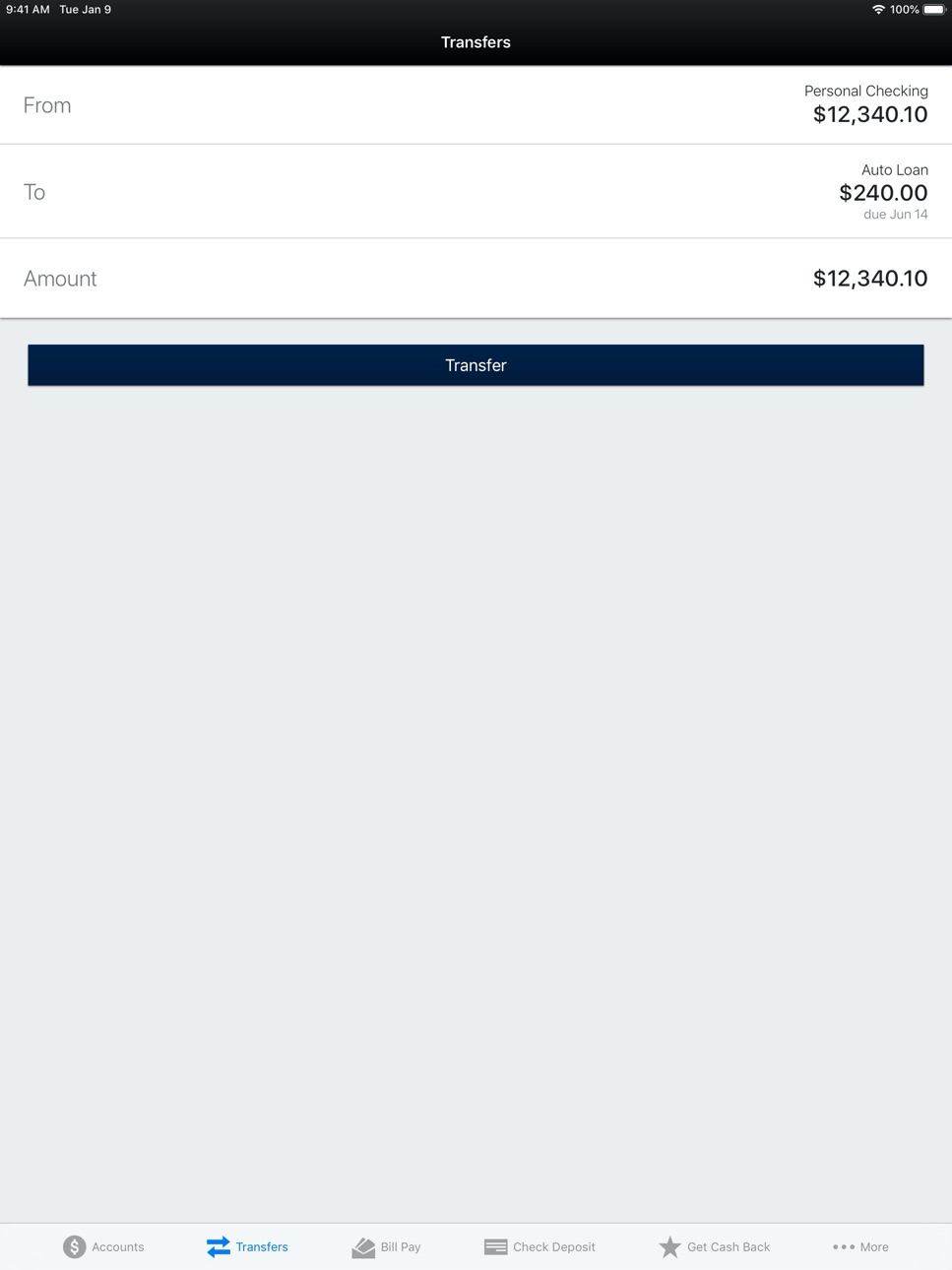 iPad screenshot