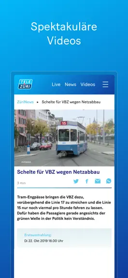 Game screenshot TeleZüri hack