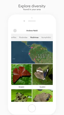 Game screenshot Leps by Fieldguide hack