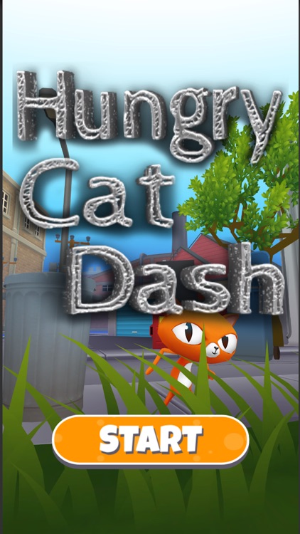 Hungry Cat Dash