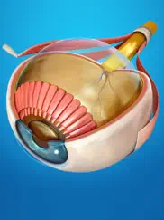 my eye anatomy ipad resimleri 1