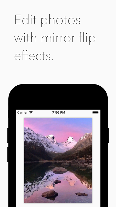Screenshot #1 pour Mirror Flipper