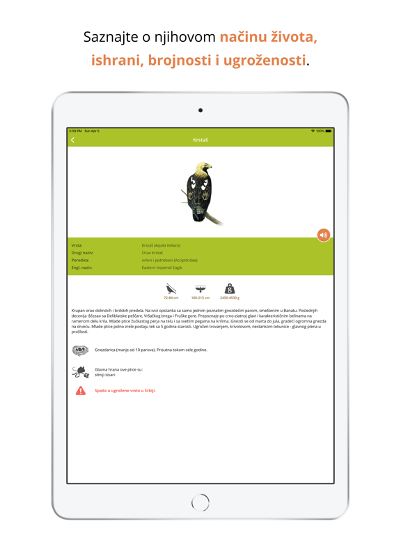 Ptice na dlanu iPad screenshot 4 - Education app