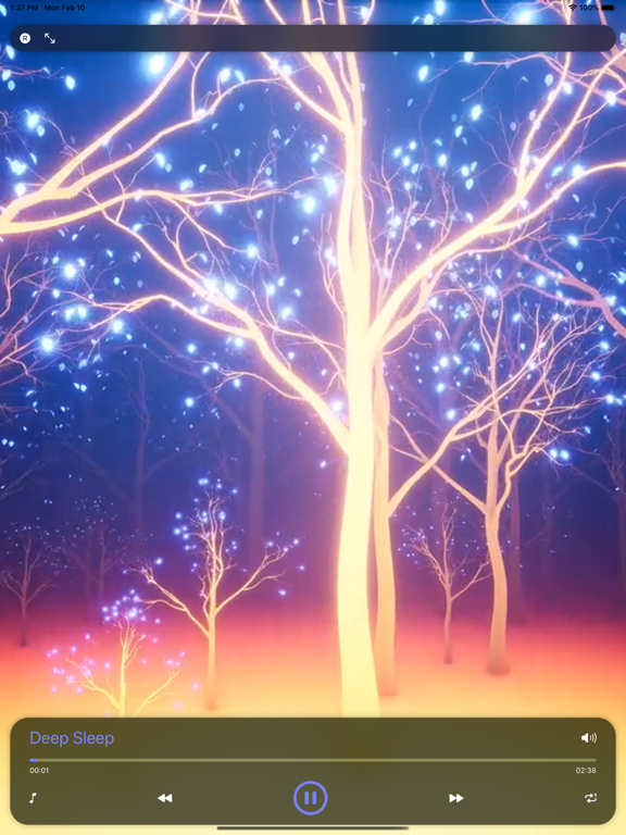 Screenshot #5 pour REM Cycle Rêve Musique