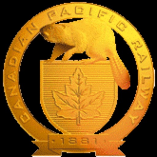 CP Digital Risk Platform