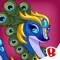 Discover the most popular dragon collecting game in the world
