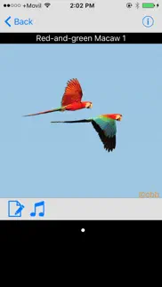 panama birds field guide basic iphone screenshot 2