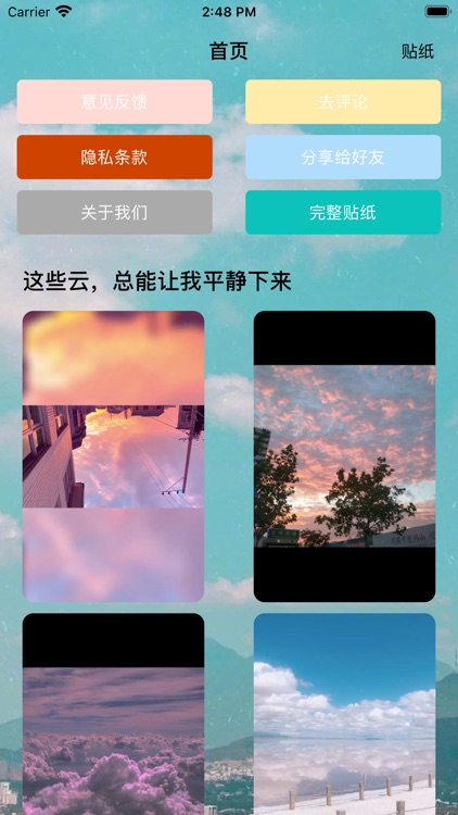 白云花花先生