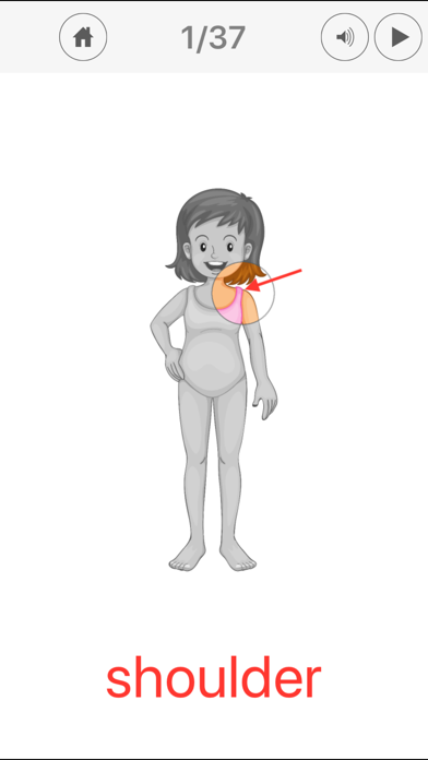 The Human Body. Learning Cards Screenshot