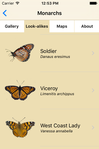 Monarch SOS - náhled