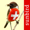 Mullen & Pohland GbR - Vögel der Schweiz - Fotoguide Grafik