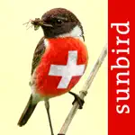 Birds of CH -Photo Guide App Contact
