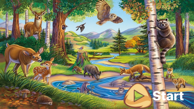 Wild Animals for Kids