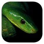 ESnakes Southern Africa App Contact