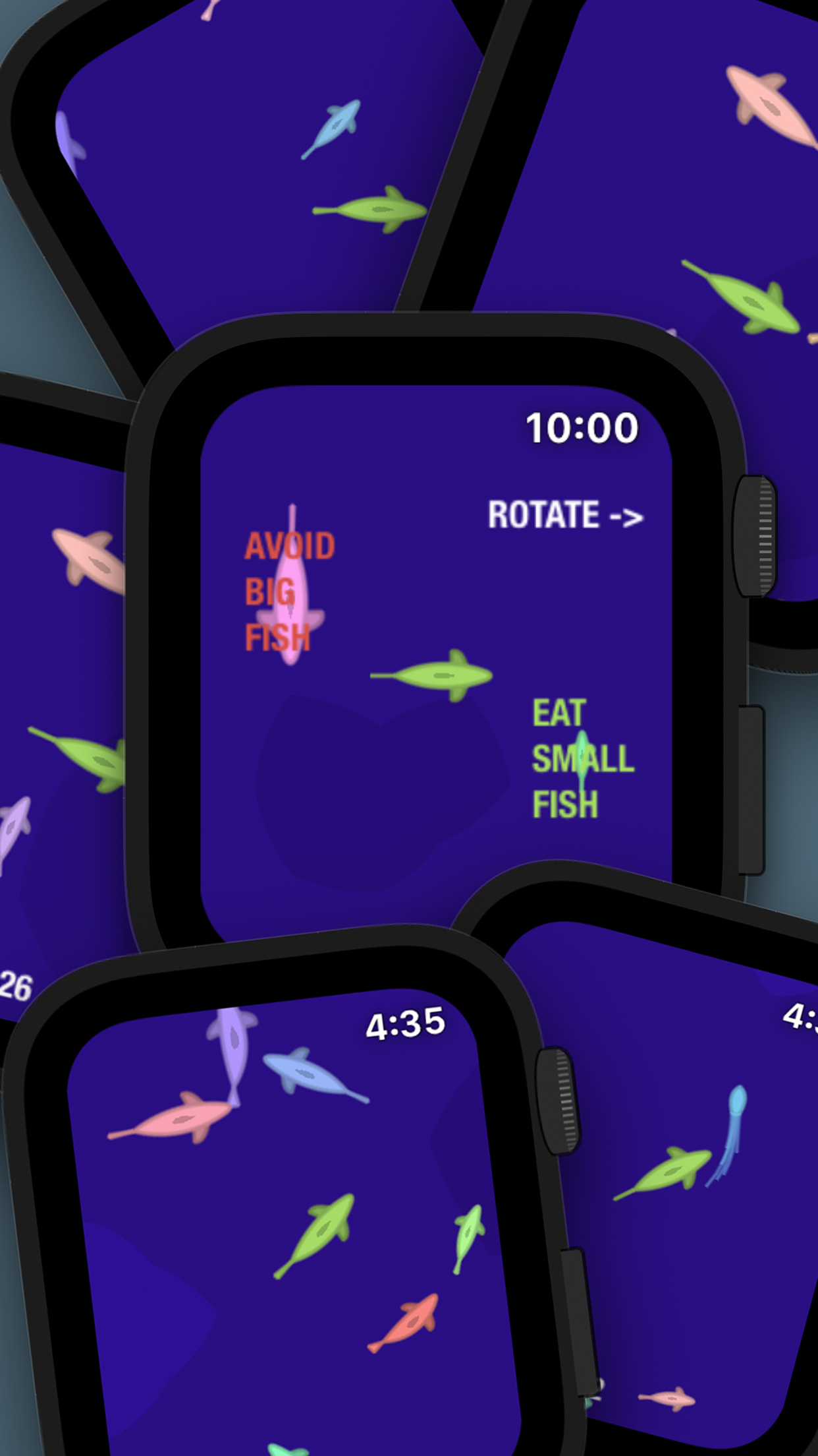 Fish in a Watch