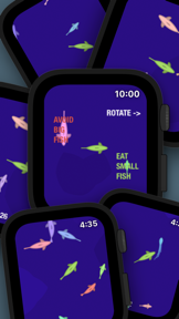 Fish in a Watch screenshot