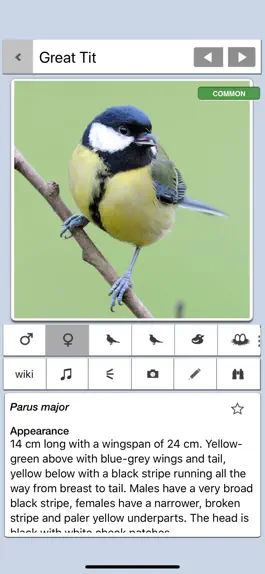 Game screenshot Birds of Britain Pro apk