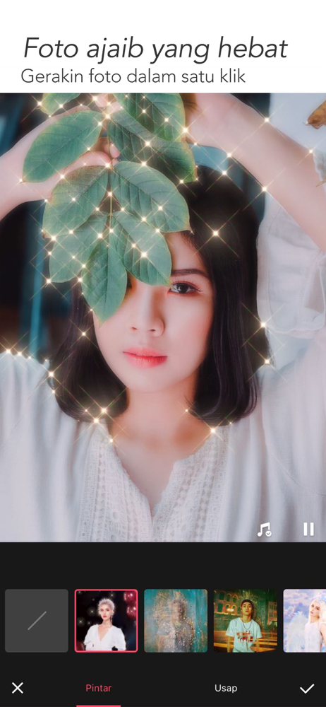 Meitu Natural Photo Editor Revenue Download Estimates
