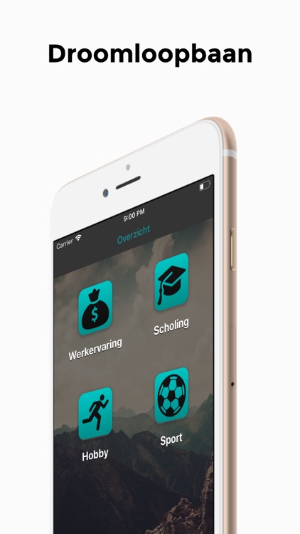 Droomloopbaan