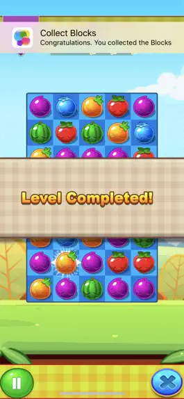Game screenshot Fruit Pop Fiesta hack