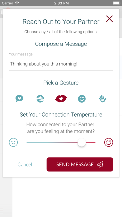The Connection App for Couples screenshot