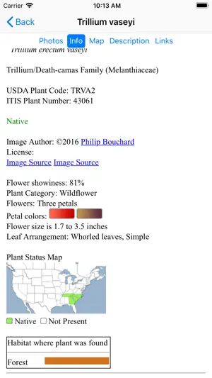 South Carolina Wildflowers screenshot 4