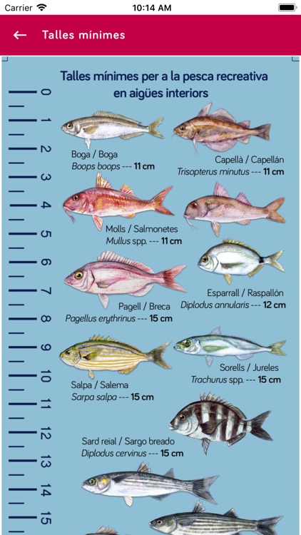 Cappesca screenshot-4