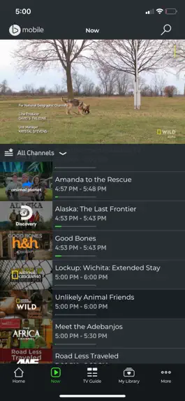 Game screenshot AMPLIA TV apk