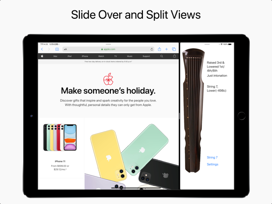Guqin Tuner iPad screenshot 5 - Music app