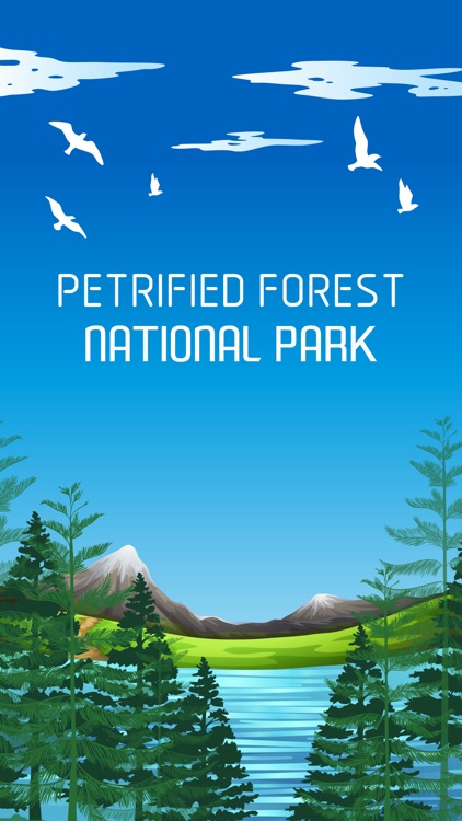 Petrified Forest National Park