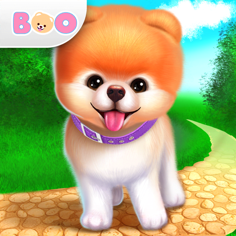 Boo : le chien le plus mignon