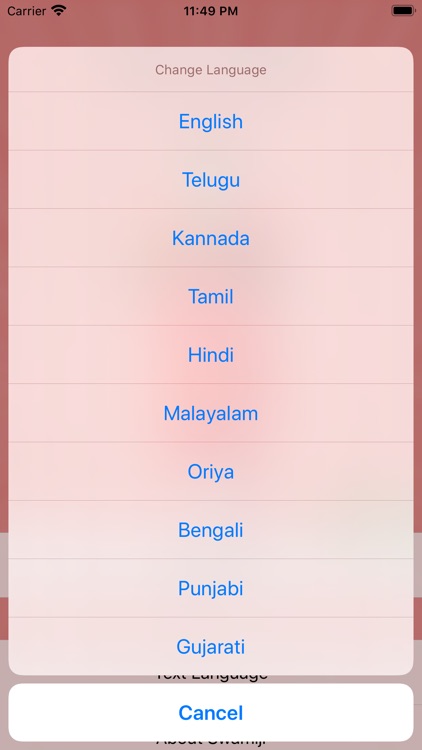 Guru Gita screenshot-3