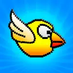 Game of Fun Birds - Cool Run App Positive Reviews