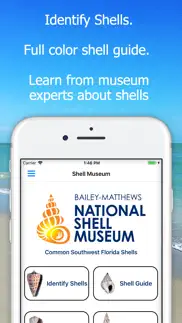 shell museum: identify shells problems & solutions and troubleshooting guide - 2