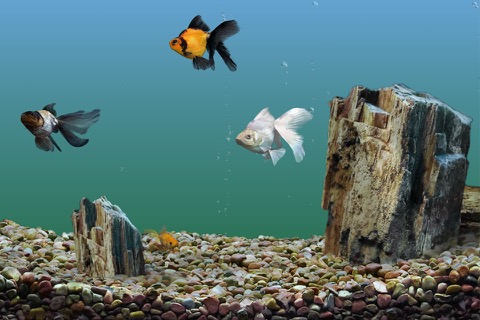 Goldfish Aquariumのおすすめ画像2