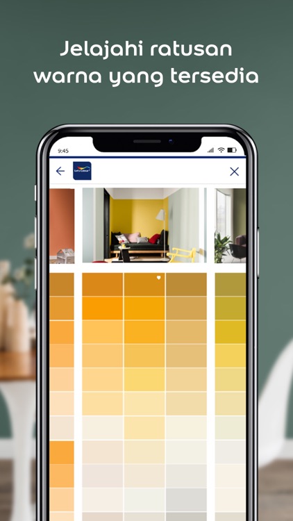 Dulux Visualizer ID