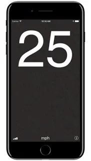 speedometer‰ iphone screenshot 1
