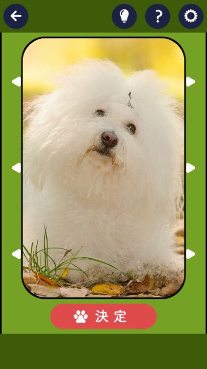 そろえて！わんわんクイズ screenshot-3