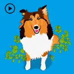 Exciting Sheltie Dog Sticker App Contact