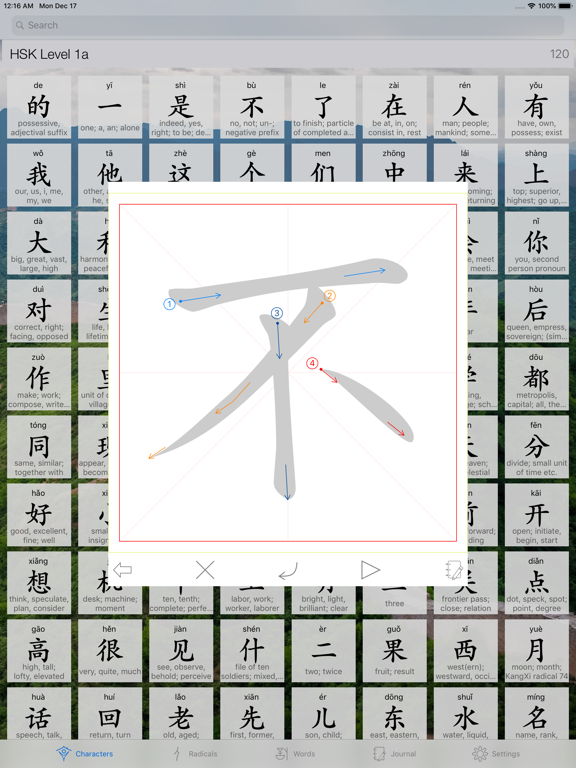 Chinese Characters 汉字 iPad screenshot 6 - Education app