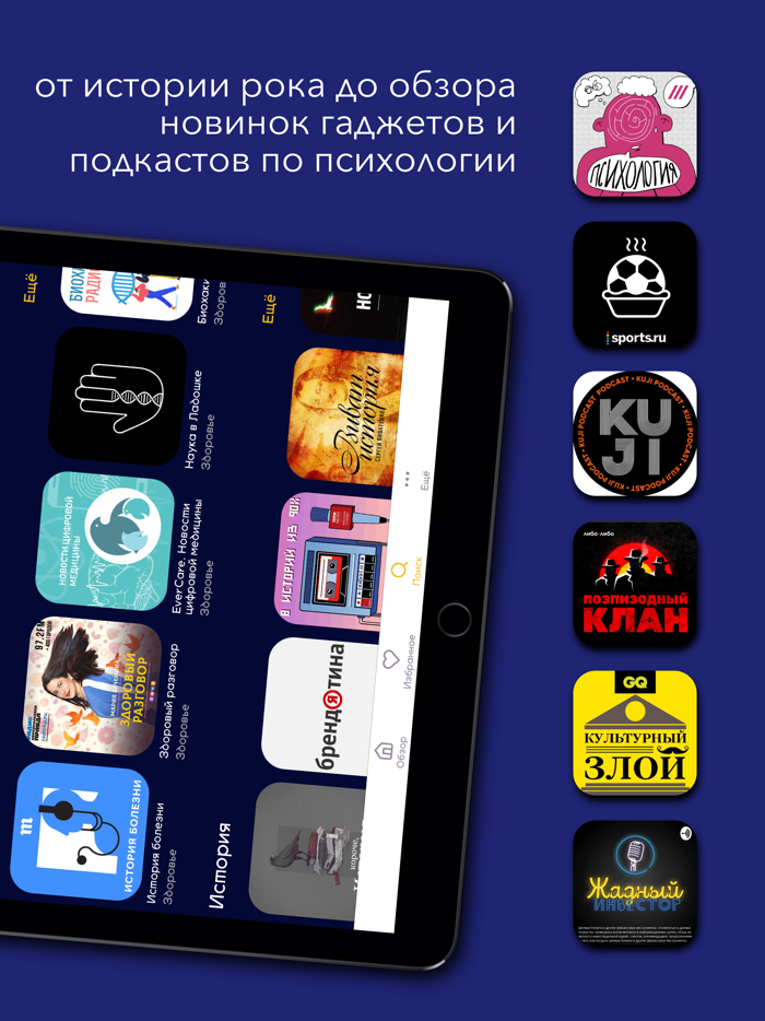 kratko новые знания за 15 мин