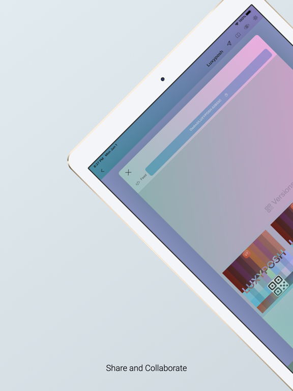 Maxwell SwiftUI SDK iPad screenshot