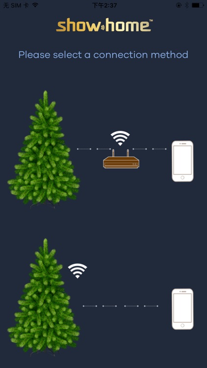 Super Lights -Holiday ShowHome