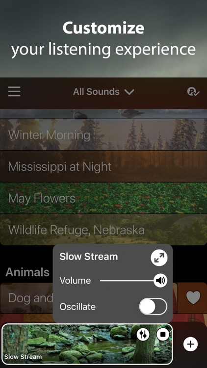 Rain Rain Sleep Sounds screenshot-4