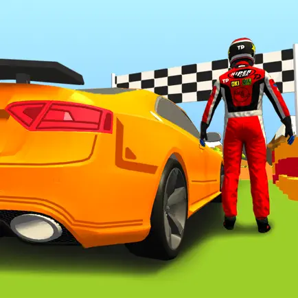 Co-Driver 3D Читы